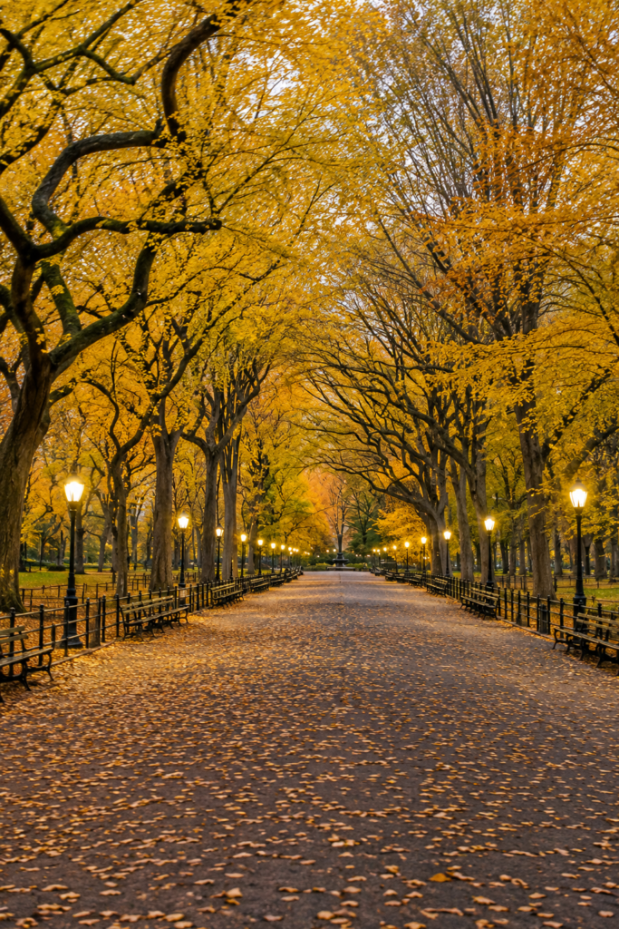 Autumn walkway at The Mall in Central Park, framed by golden trees, benches, and glowing park lamps.