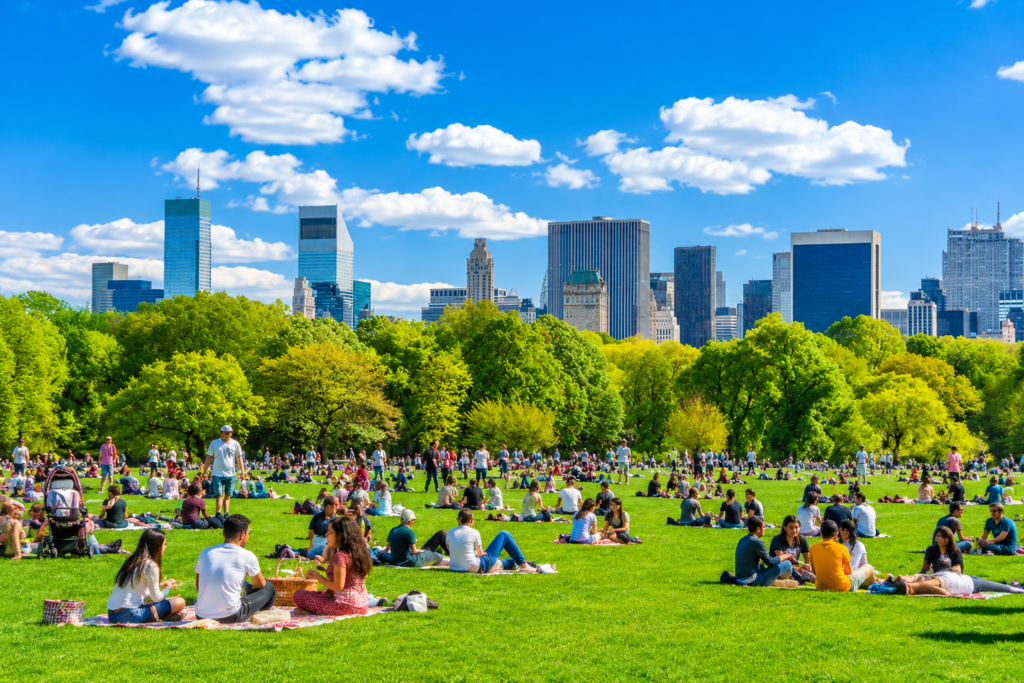 A vibrant panoramic view of Central Park on a bright, sunny day featuring expansive green lawns, numerous visitors relaxing on picnic blankets, families and friends enjoying the open space, lush trees, and the iconic Manhattan skyline in the background, illustrating a lively atmosphere before peak crowd hours.