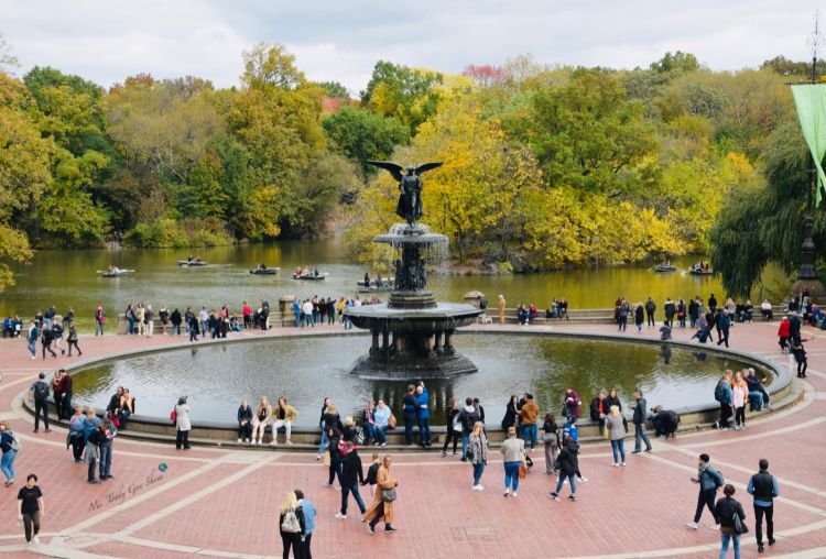 Bethesda Fountain in Central Park surrounded by visitors, overlooking the lake with rowboats, autumn trees, and the iconic Angel statue.