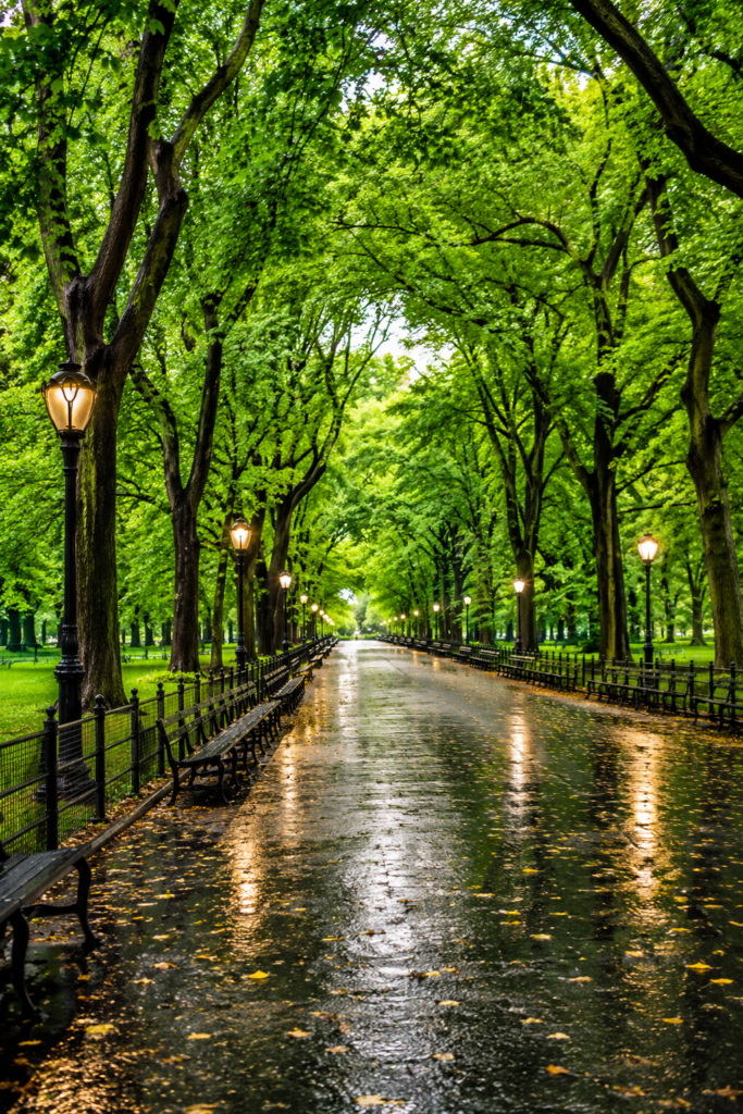 Literary Walk in Central Park featuring tree-lined pathway, historic benches, glowing lampposts, and lush green canopy overhead.