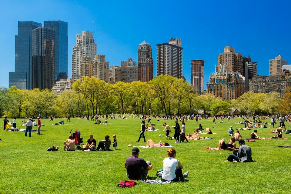Visitors relaxing on Sheep Meadow in Central Park, surrounded by lush green lawns with Manhattan skyline rising behind under clear skies.