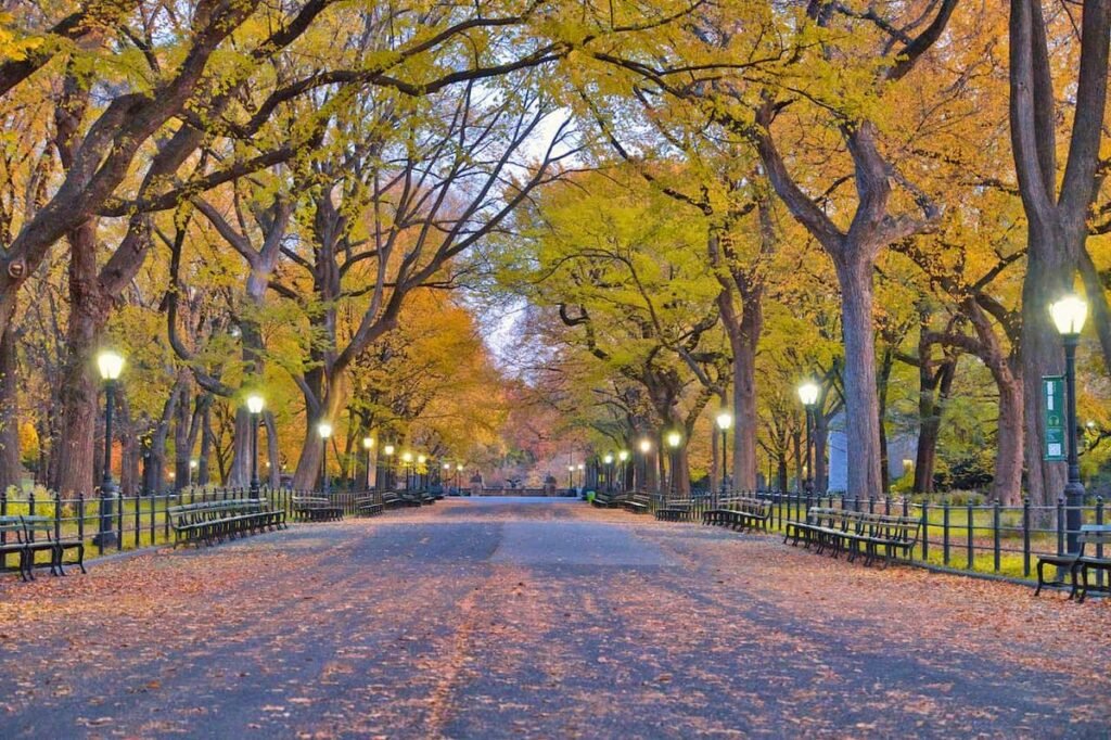 The Mall & Literary Walk in Central Park during autumn, featuring towering trees, glowing lampposts, fallen leaves, benches, and peaceful atmosphere.