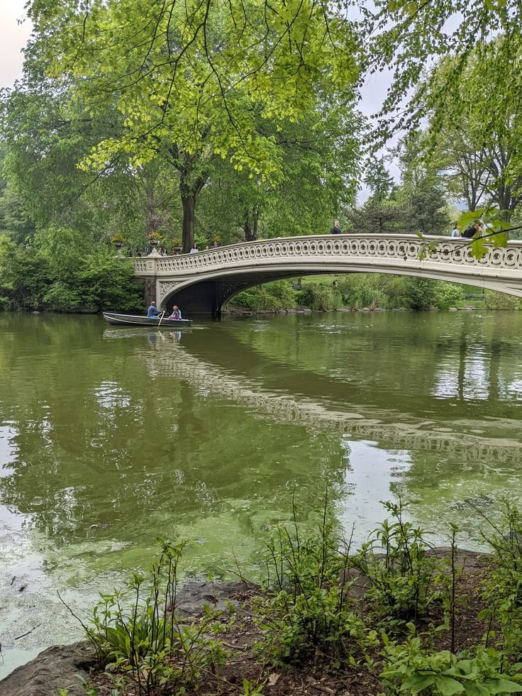 magnificent-bow-bridge-in-central-park