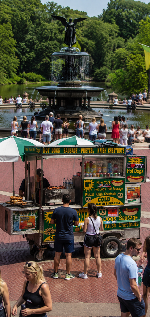 Central Park hot dog cart near Bethesda Fountain, serving visitors amid a lively crowd, scenic plaza, flowing fountain, and summer greenery.