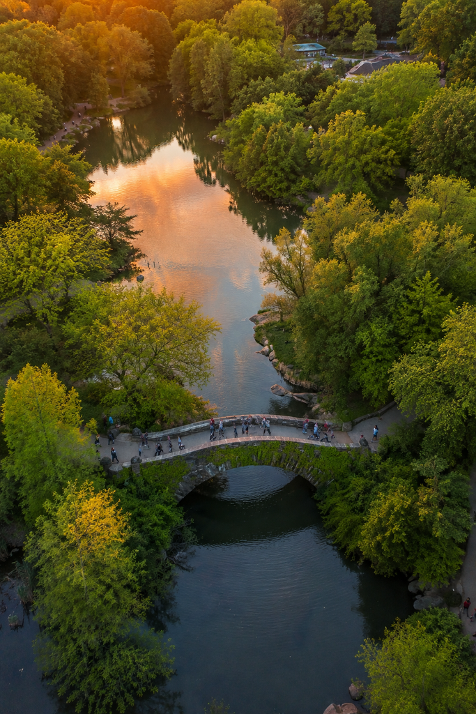 Aerial drone view of Gapstow Bridge in Central Park at sunset, with visitors on the stone bridge, reflective water, lush trees, and warm golden evening light across the park landscape.