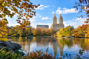 The Pond in Central Park reflects nearby Manhattan buildings beneath a clear blue sky. Autumn-colored trees line the water, while delicate reeds frame the foreground of this peaceful urban landscape scene.
